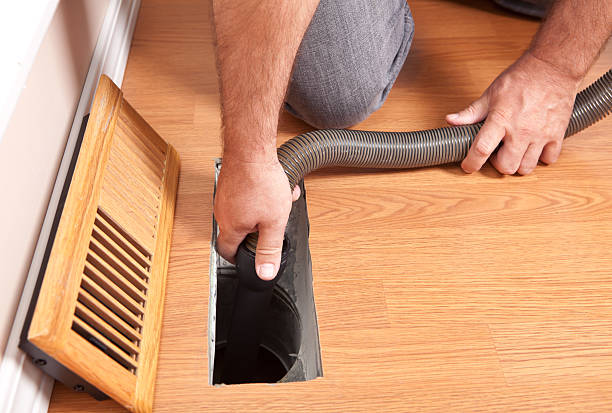 Best HVAC System Cleaning  in , MI