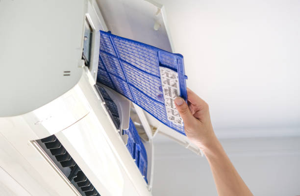 Best Residential Air Duct Cleaning  in , MI